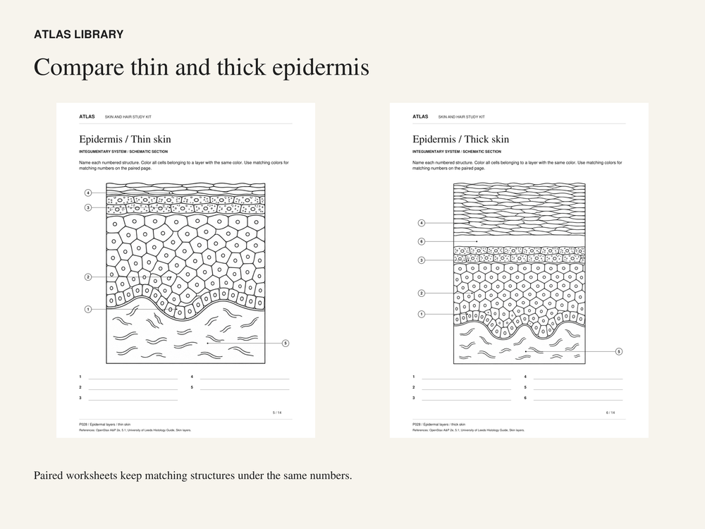Skin and hair personal-study kit: actual student page previews.