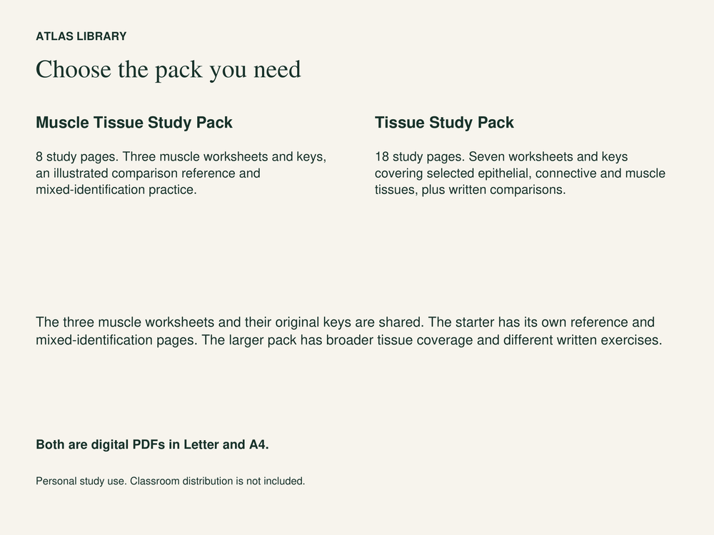 Tissue Anatomy Coloring and Labeling Worksheets with Answer Keys — actual study pages and printable PDF contents